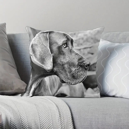 Vintage-Style Great Dane Throw Pillow Cover